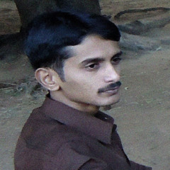 Karthikeyan Dhamotharan