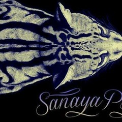 Sanaya - Psy