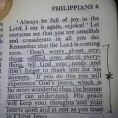 Ana BrooklynMami Tanisha