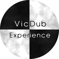 VicDub Experience