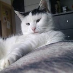 proggy:)