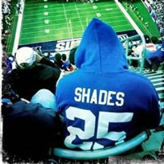 Stevie Shades