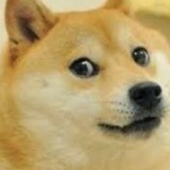 erica's weeb music list