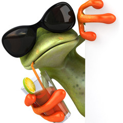 mr_Steko