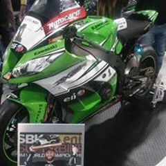 Byron B Dash Cottrell