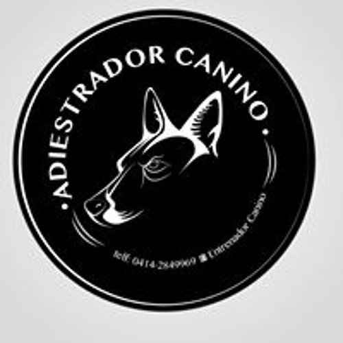 Entrenamiento Canino’s avatar