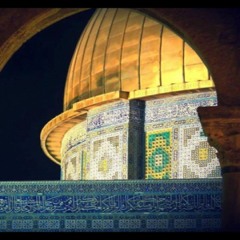 Nada H Radwan