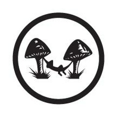 dazedFM