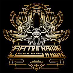 ELECTRICHAWK