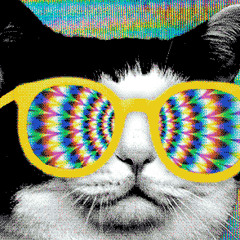 Free Repost Promotion