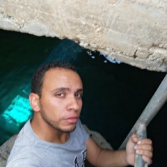 &rew girgis abd-allah
