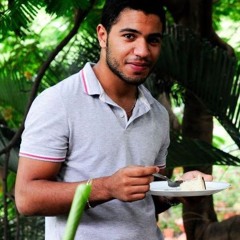 Taha El hatimi