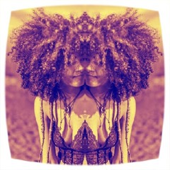 Tripdafunk.