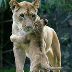 Wendy Langeberg McDonald