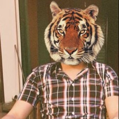 Rafael Code