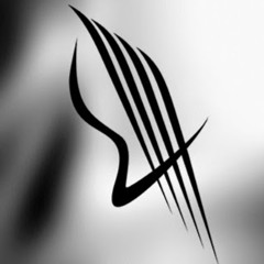 STORM String Quartet