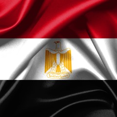 Mohamed Safwat