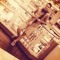 user491463135