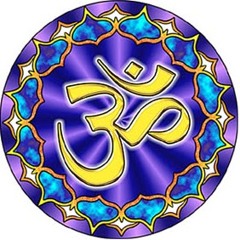 Mauricio J. Muñoz G.