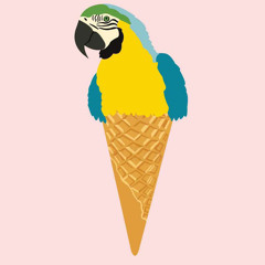 Cucurucho Groovalizacion