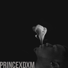 Prince XDXM