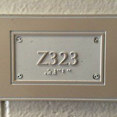Z323
