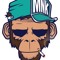 Monkey Flip