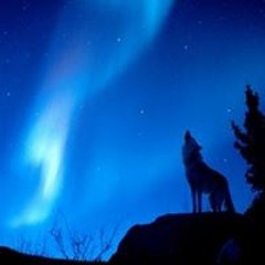 Aurora Vazquez Topete