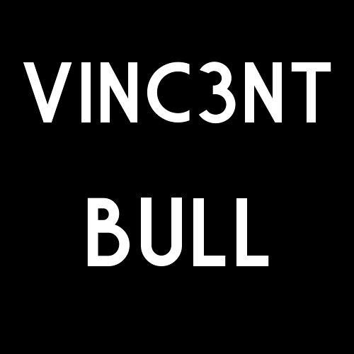 VINC3NT BULL’s avatar