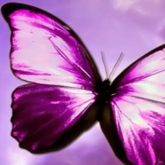 M “PurpleButterfly” Dixon