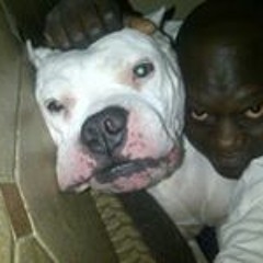 Robert L. Michael Jr.