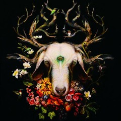 سورج مکھی_xiao