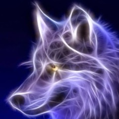Wolfer Big