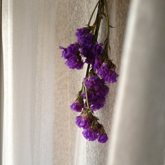 Maggie Chu (maggchu)