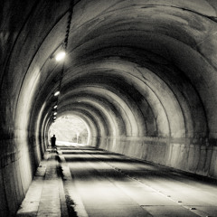 Tunnelvisie