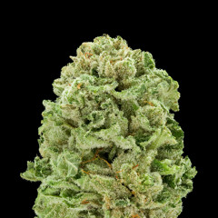 KushKing