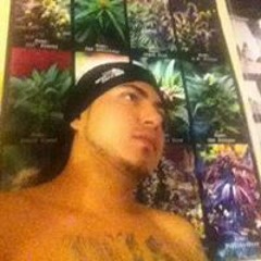Dagga Love