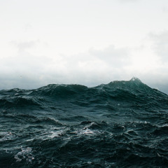 Christopher Fields 2