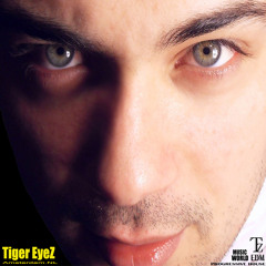 Tiger EyeZ