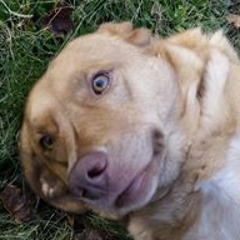 Featuring Trenton Sicola