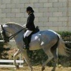 Silvia Arroyo Fernandez