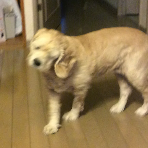 Stream 01ふるさとよありがとう 歌入り 仮マスタリング済 Cdrコピー用 44 1khz 16bit By Hide Shima Listen Online For Free On Soundcloud