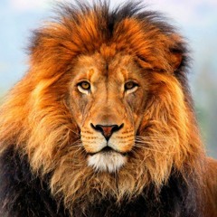 Rebel-Lion