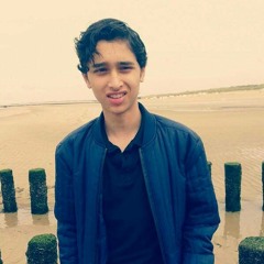 Sonny Van Steenbergen