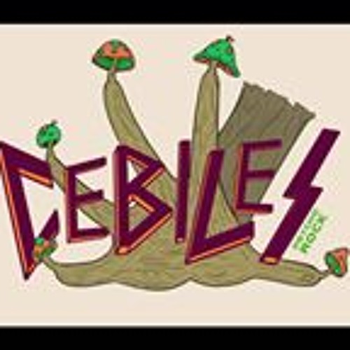 Cebiles Rock’s avatar