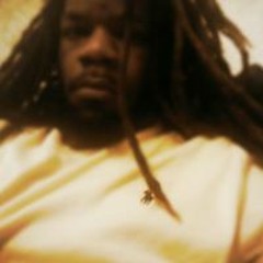 Wahid Dollaz