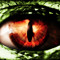 Ecodragon