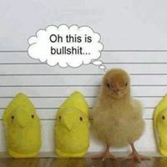 Debbie Brueger-Dolin