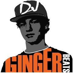 Dj Ginger Beats