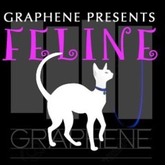 Feline Podcast